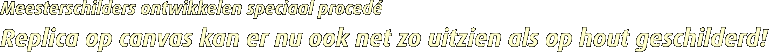 Meesterschilders ontwikkelen speciaal proced�